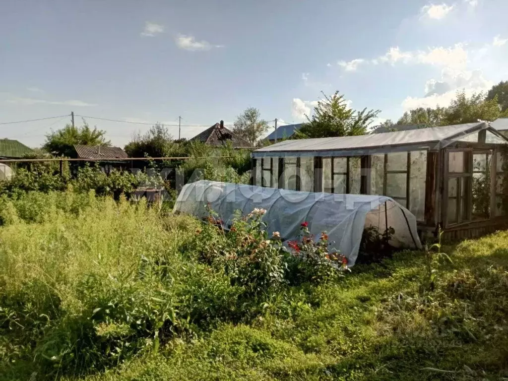 Дом в Новосибирская область, Новосибирск ул. Циолковского (34 м) - Фото 1