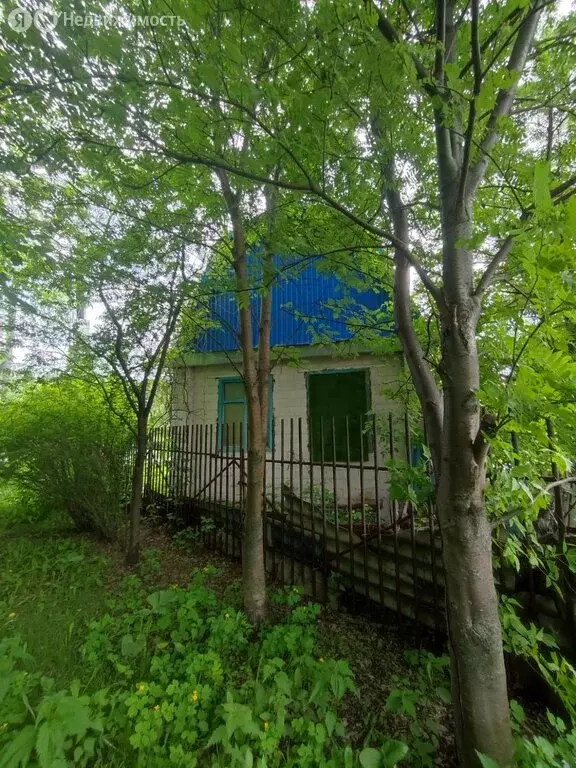 Участок в Омск, территория СОСН Рассвет, 1-я аллея (9 м) - Фото 1