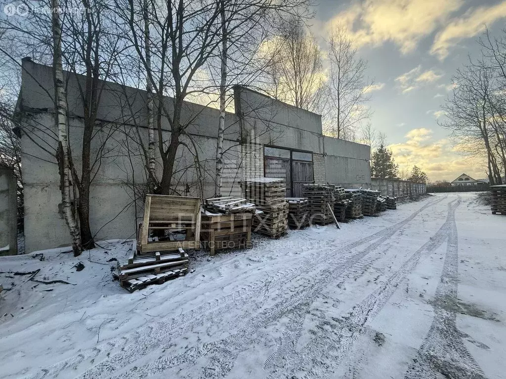 Помещение свободного назначения (925 м) - Фото 1