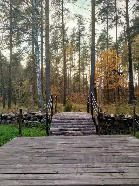 Дом в Владимирская область, Киржачский муниципальный округ, д. Крутец ... - Фото 2