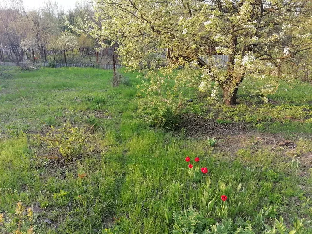 Участок в Каменск-Шахтинский, Донецкий переулок (8 м) - Фото 0