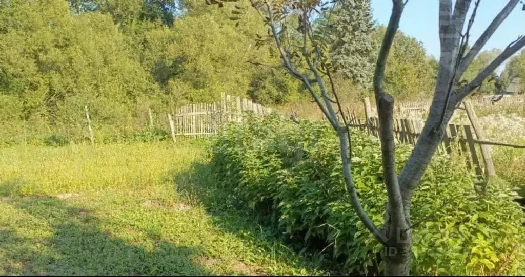 Участок в Калужская область, Калуга городской округ, с. Рябинки 49 ... - Фото 1