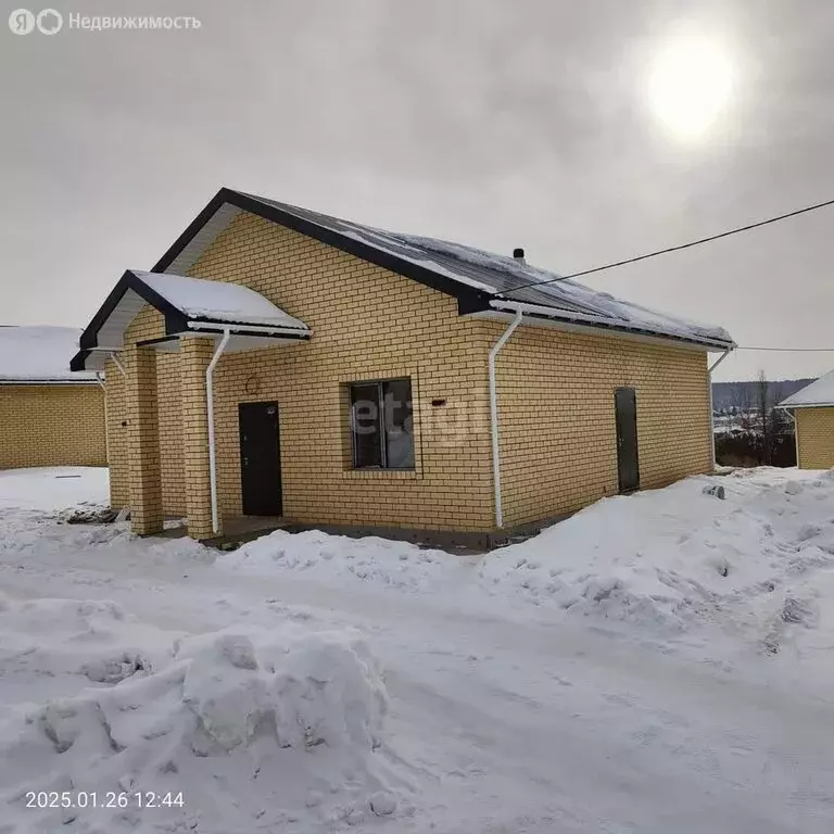 Дом в Амурская область, Благовещенский муниципальный округ, село ... - Фото 1