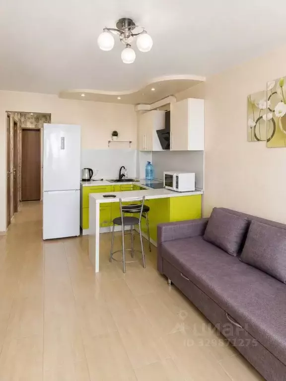 Студия Кировская область, Киров ул. Современная, 2 (25.0 м) - Фото 1