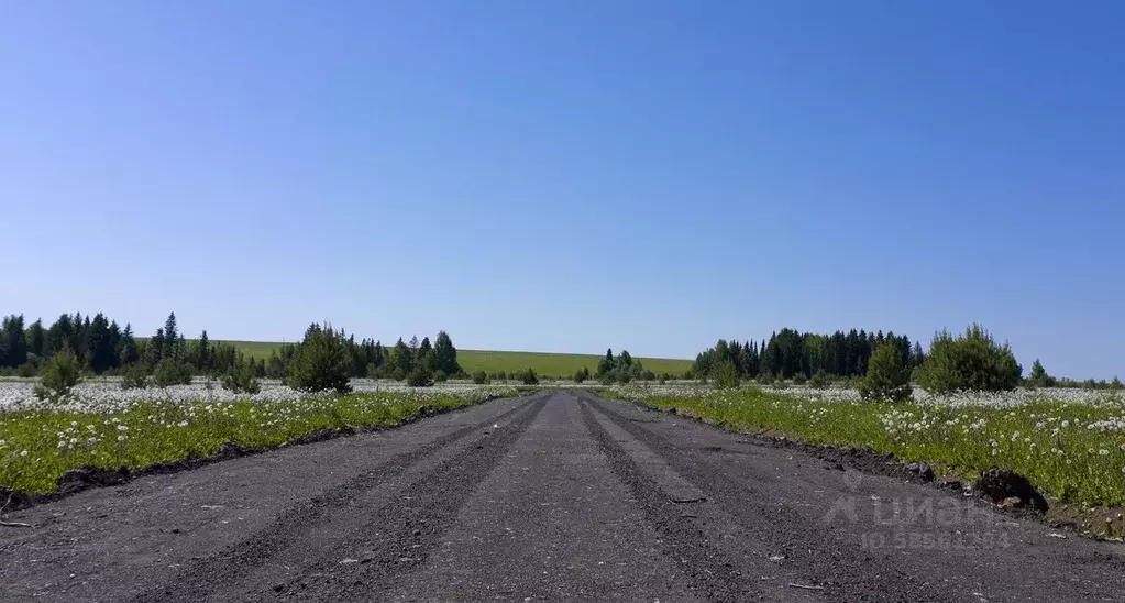 Участок в Удмуртия, Завьяловский район, д. Красный Кустарь  (7.48 ... - Фото 0