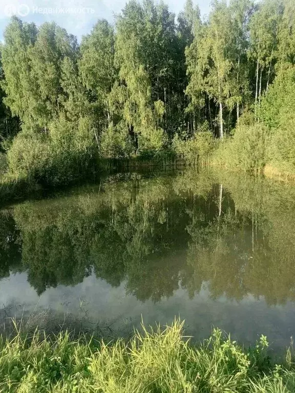 Участок в Судогодский район, муниципальное образование Головинское, ... - Фото 0