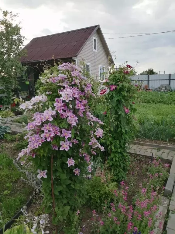 Дом 60 м на участке 6 сот. - Фото 0