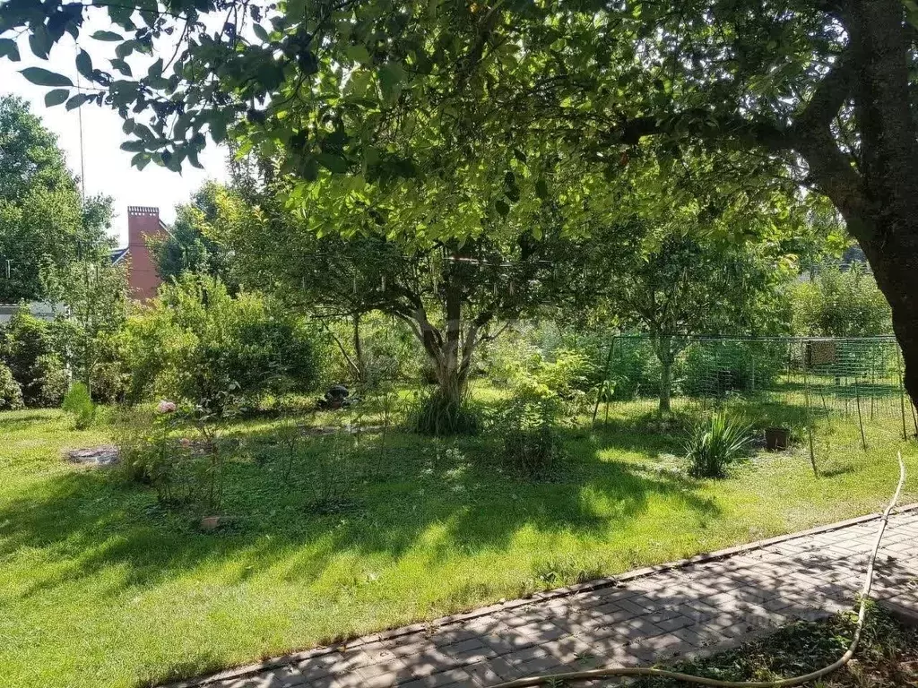 Дом в Ростовская область, Азов Азовский район, Севастопольская ул. ... - Фото 2