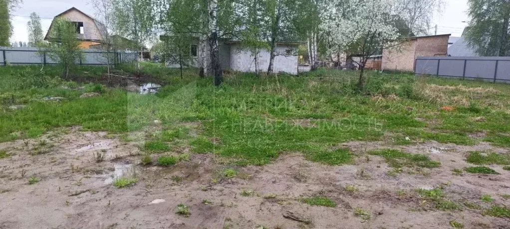 Участок в Тюменская область, Тюмень Якорь садовое товарищество, ул. ... - Фото 1