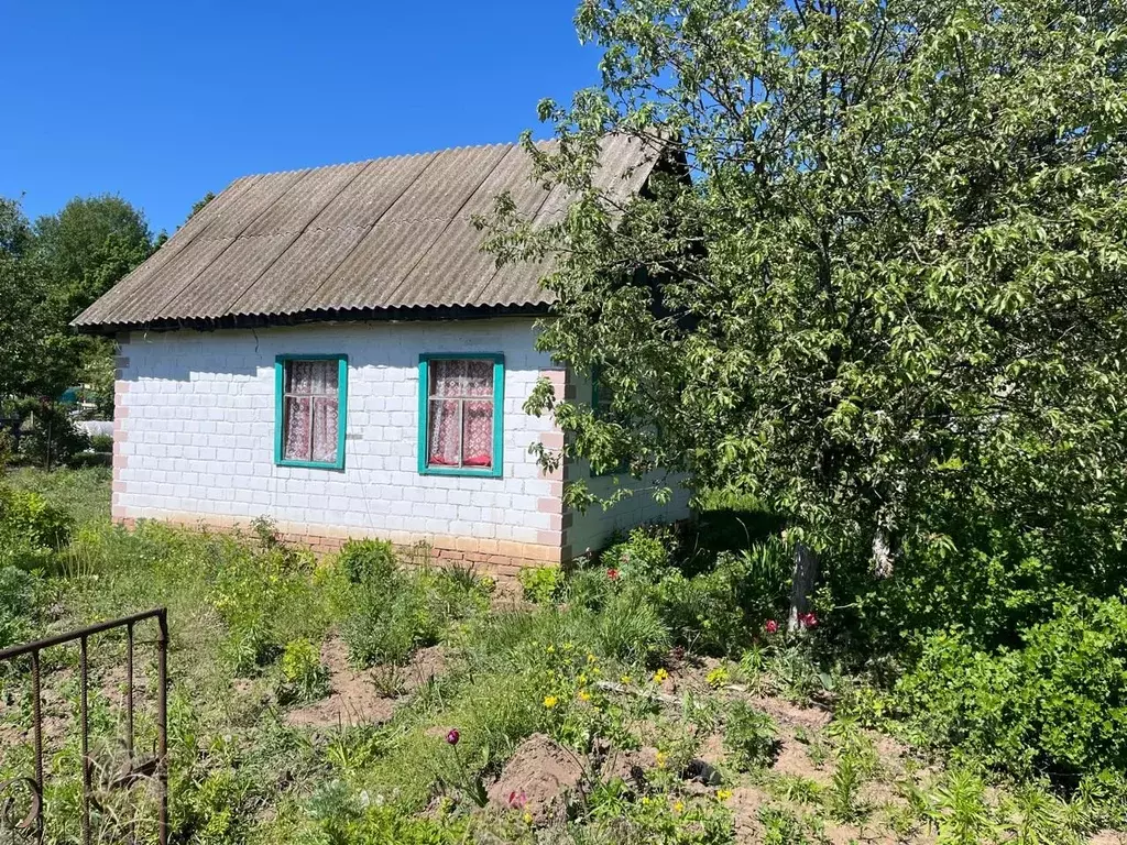 Дом в Башкортостан, Агидель ул. Виноградная (18 м) - Фото 1