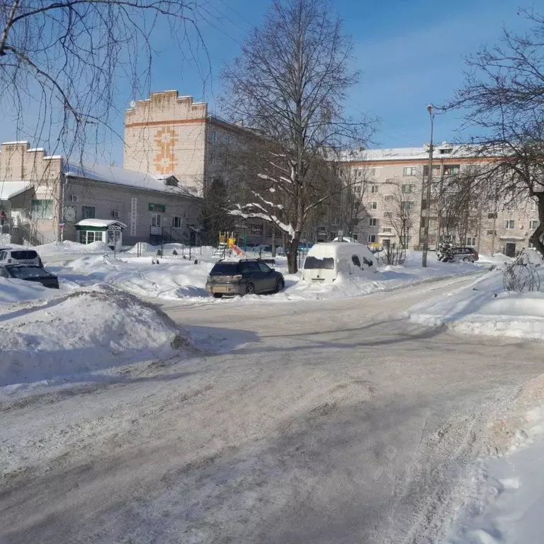 1-к кв. Псковская область, Пустошка Октябрьская ул., 41 (32.3 м) - Фото 1