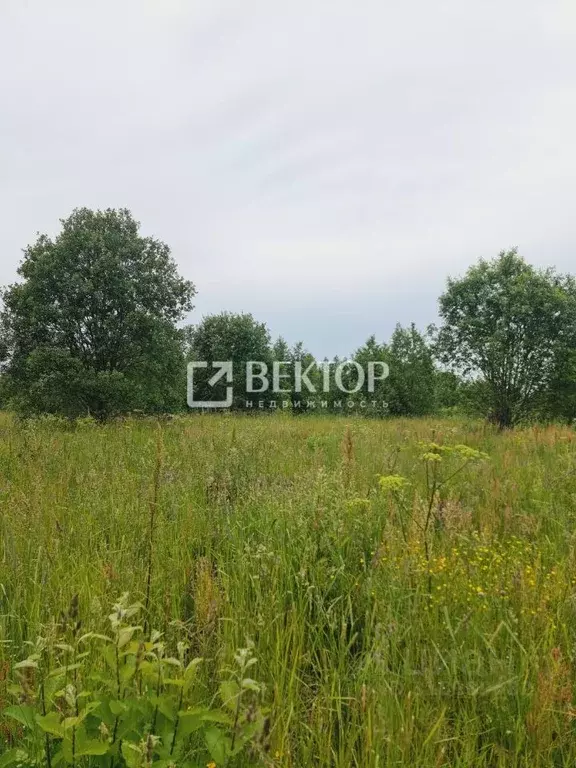 Участок в Костромская область, Кострома  (9.47 сот.) - Фото 0