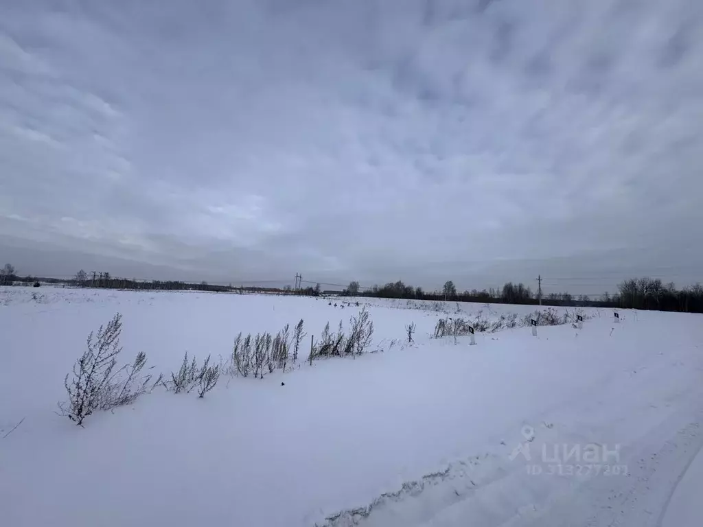 Участок в Челябинская область, Сосновский район, Краснопольское с/пос, ... - Фото 0