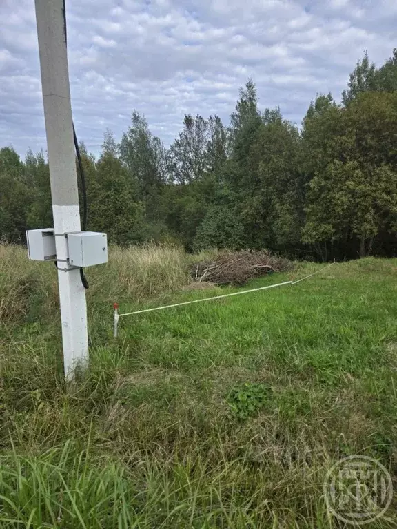 Участок в Ленинградская область, Всеволожский район, Рахьинское ... - Фото 1