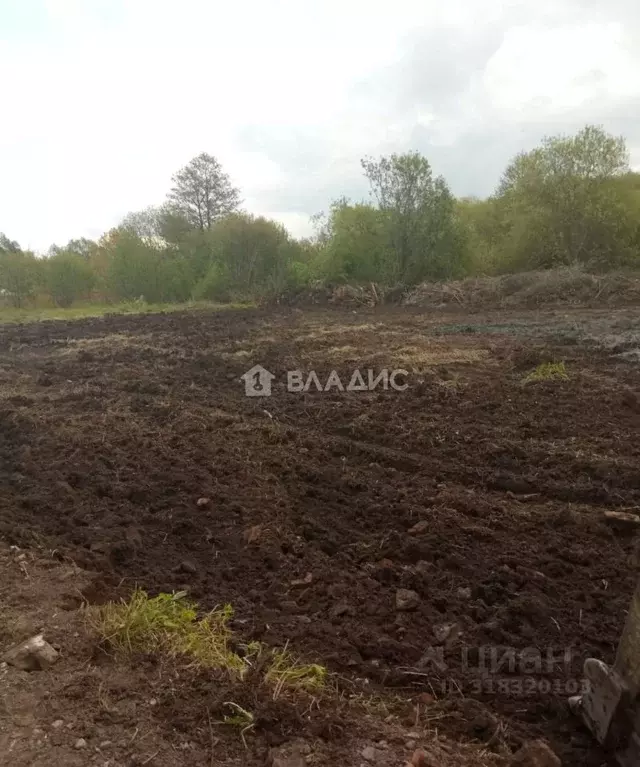 Участок в Калининградская область, Калининград Балтиец СНТ, проезд ... - Фото 1
