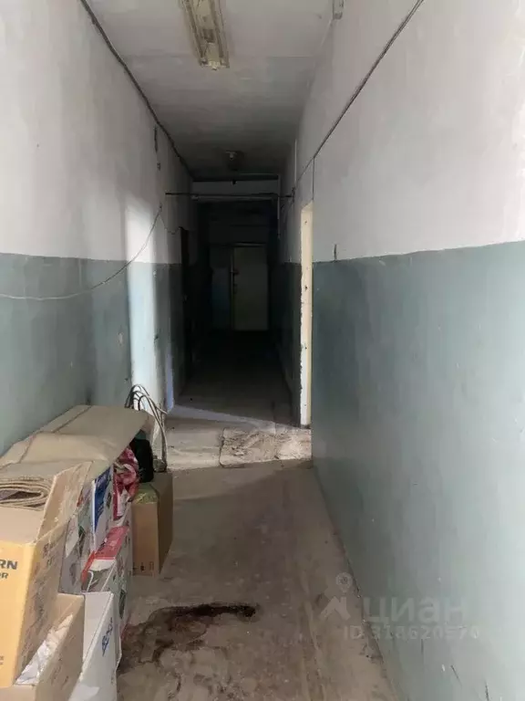 Помещение свободного назначения в Волгоградская область, Волжский ул. ... - Фото 1