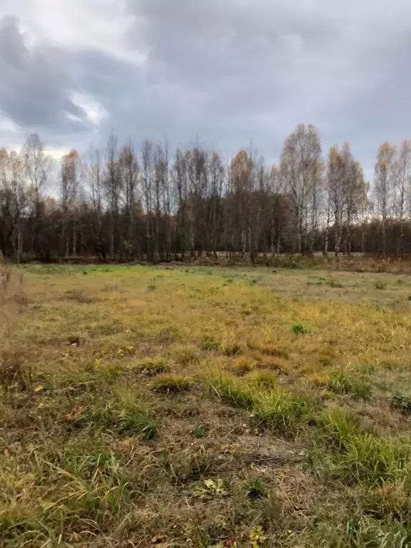 Участок в Нижегородская область, Бор городской округ, д. Заскочиха  ... - Фото 0