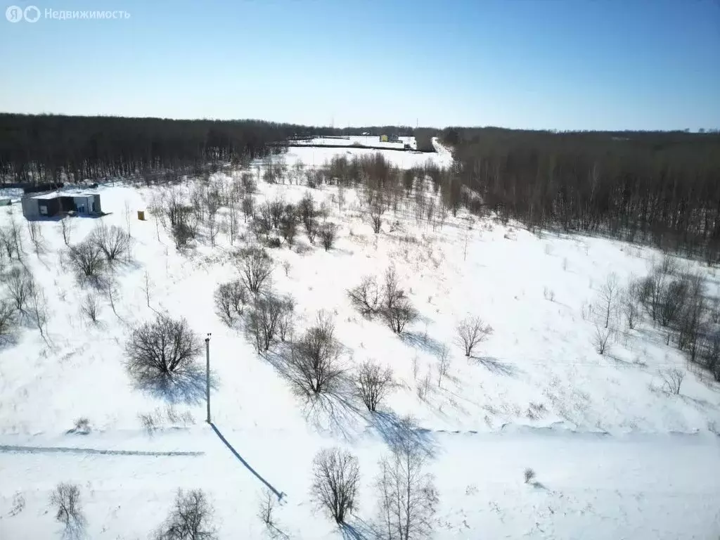 Участок в Хабаровск, садовое товарищество Виктория (13.4 м) - Фото 1