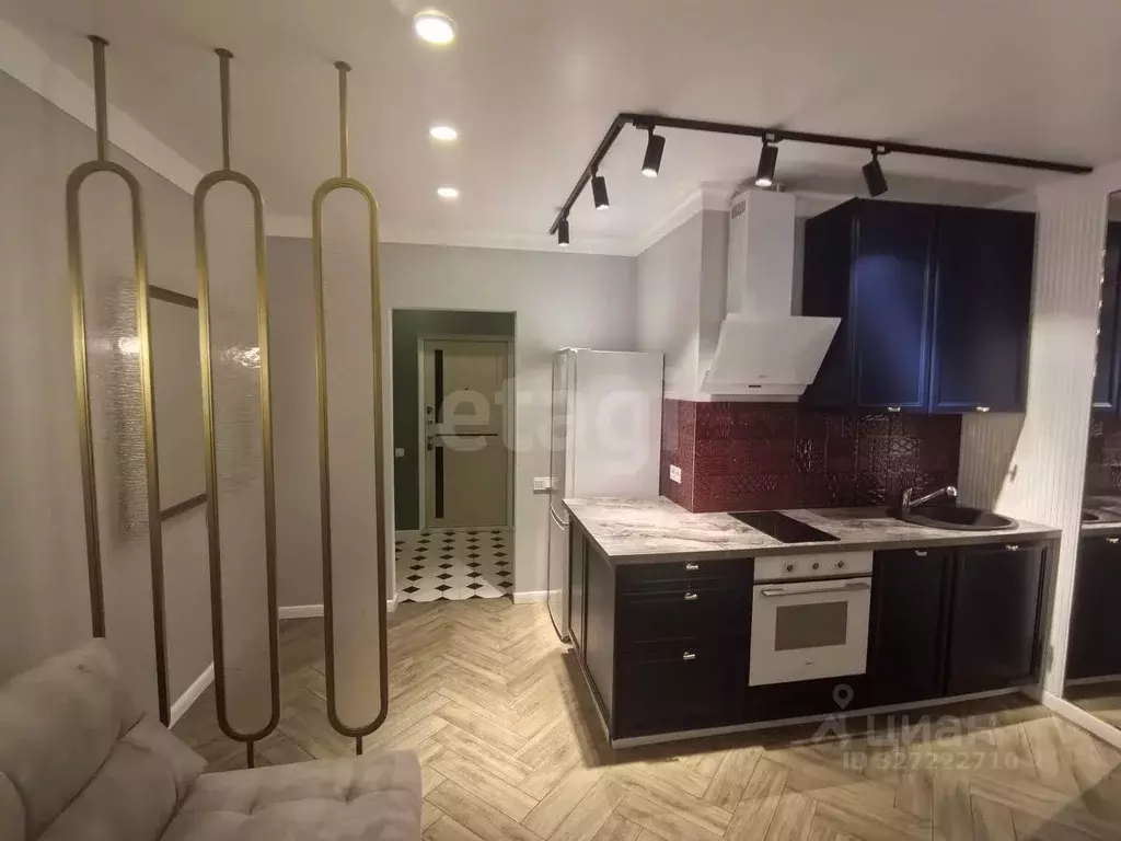 Студия Краснодарский край, Анапа ул. Ивана Голубца, 147 (24.0 м) - Фото 2