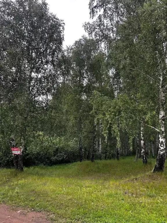 Участок в Челябинская область, Аргаяшский муниципальный округ, д. ... - Фото 1