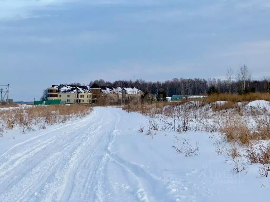 Участок в Тюменская область, Тюменский муниципальный округ, Соловьиная ... - Фото 1