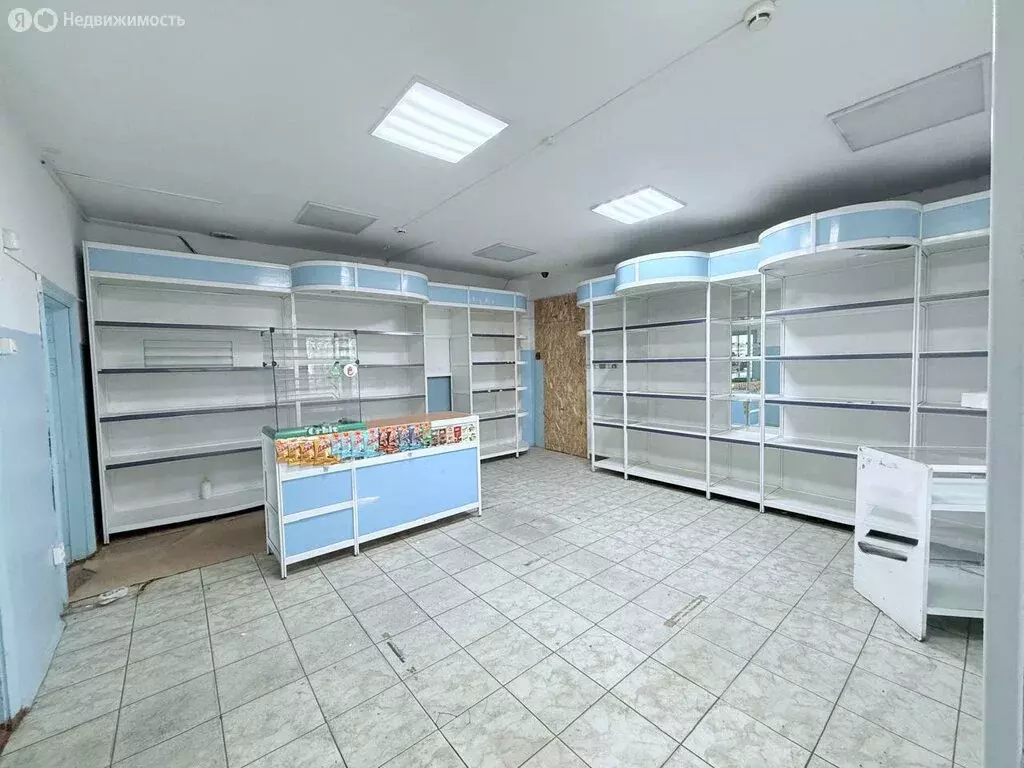 Помещение свободного назначения (50.5 м) - Фото 1