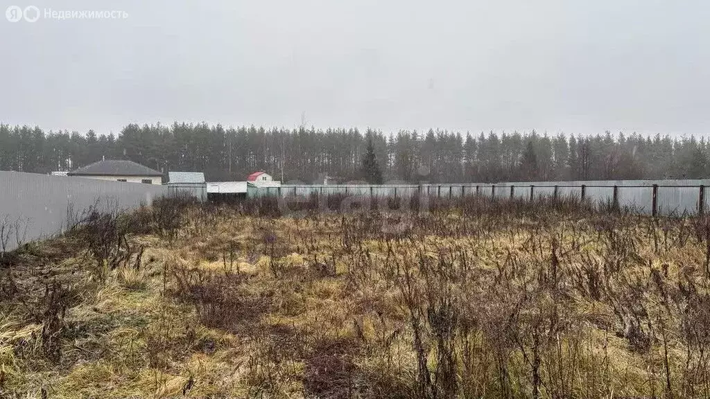 Участок в Владимирская область, округ Муром, село Лазарево, улица 75 ... - Фото 1