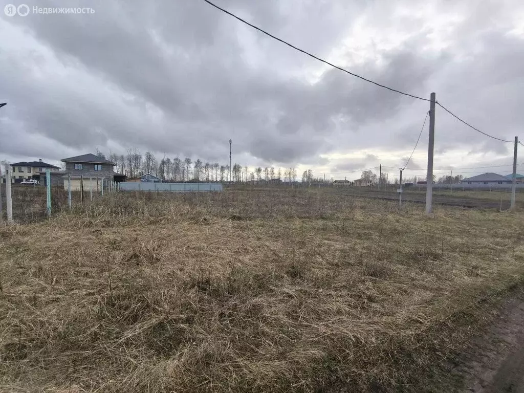 Участок в Ульяновск, СТ Лесной, улица Верности (8 м) - Фото 1