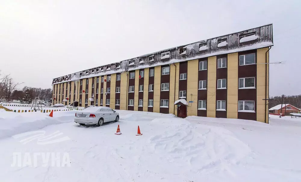 1-комнатная квартира: село Богашёво, улица Новостройка, 19Б/1 (17.1 м) - Фото 1