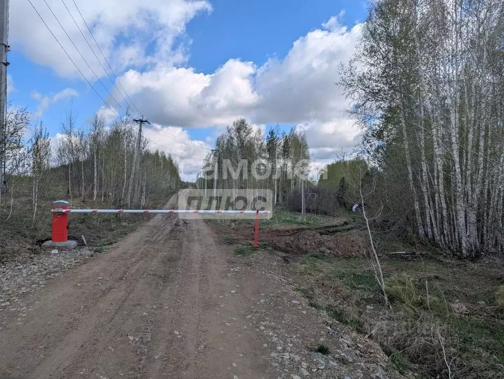 Участок в Новосибирская область, Новосибирский район, Новолуговской ... - Фото 0