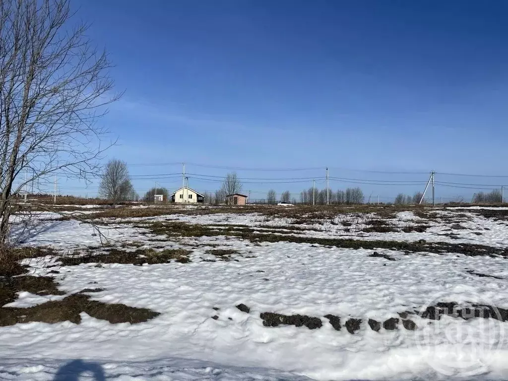 Участок в Ленинградская область, Ломоносовский район, Гостилицкое ... - Фото 1