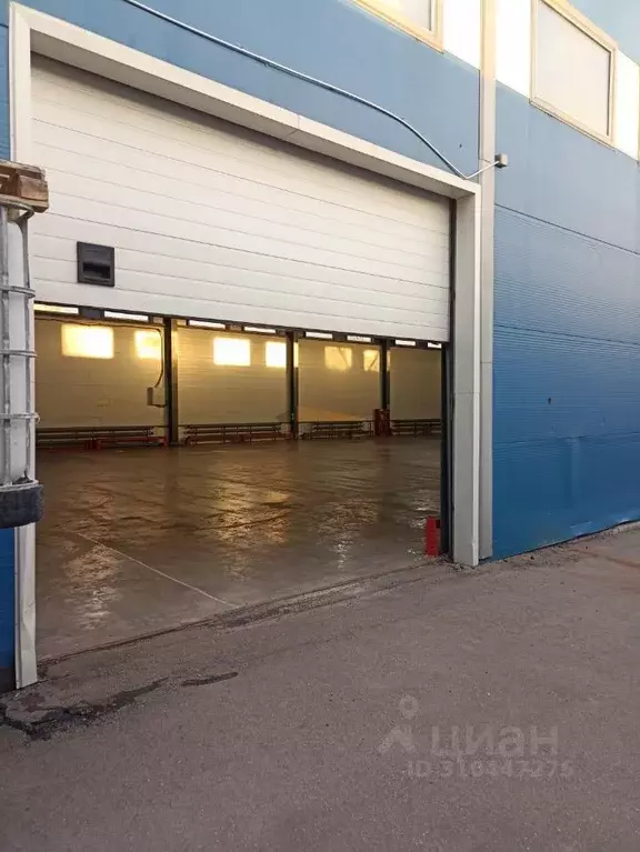 Склад в Московская область, Домодедово Центральный мкр, ул. ... - Фото 1