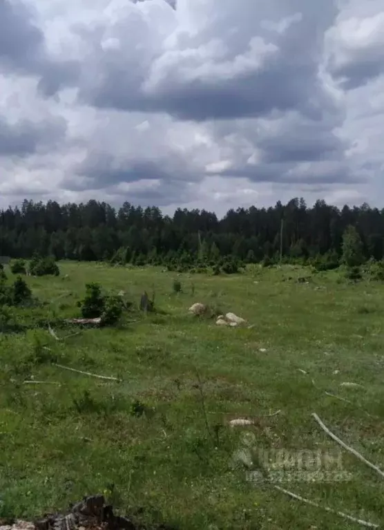 Участок в Алтай, Турочакский район, с. Турочак ул. Шукшина, 24 (10.5 ... - Фото 2