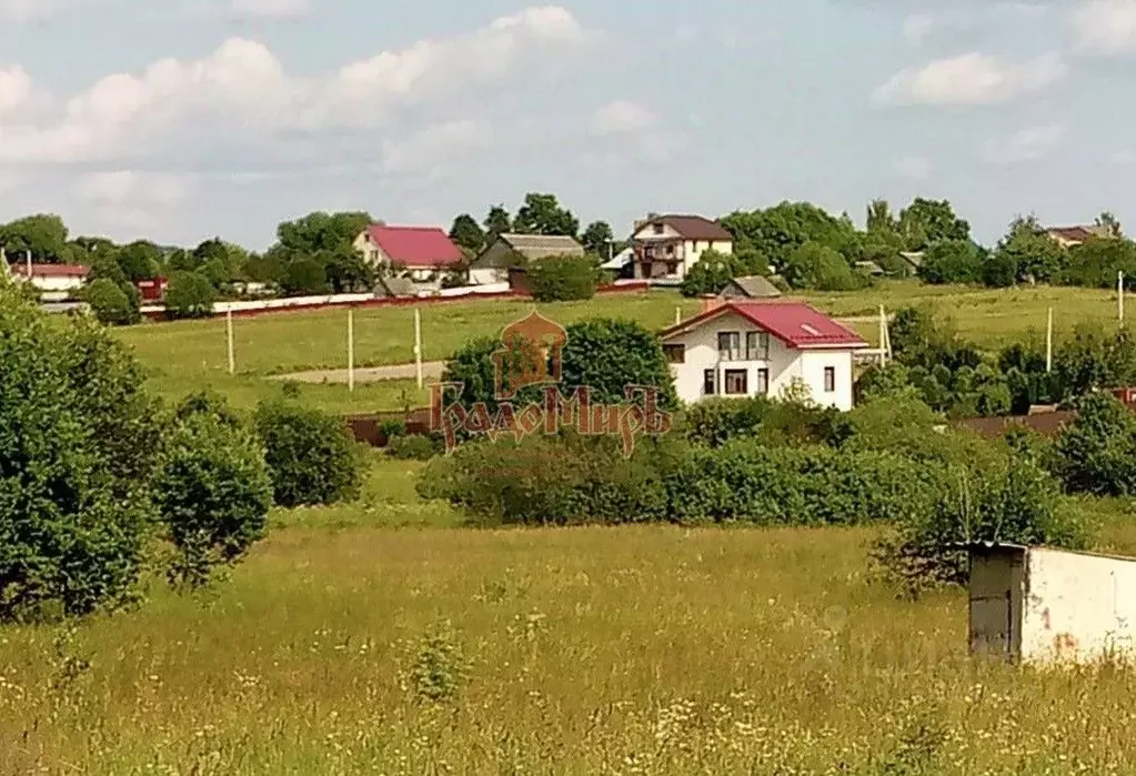 Участок в Владимирская область, Александровский район, Каринское ... - Фото 0
