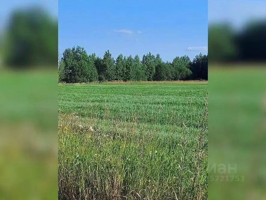 Участок в Коми, Сыктывдинский муниципальный район, Пажга муниципальное ... - Фото 1