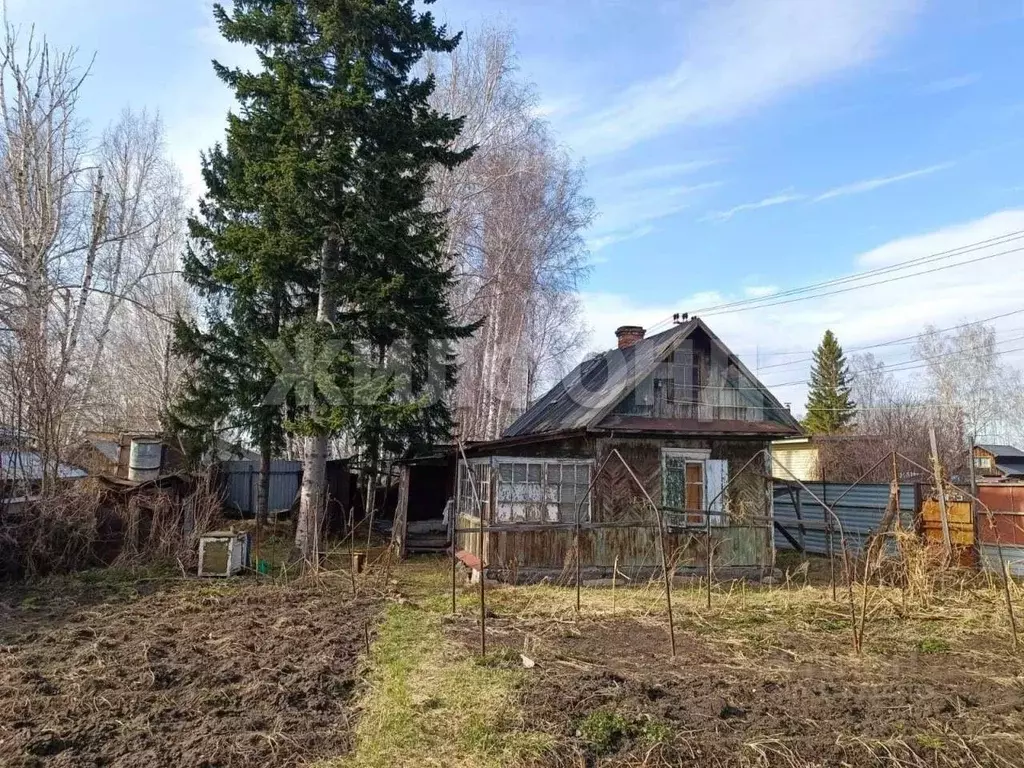 Дом в Новосибирская область, Новосибирск Березовая Роща СТ,  (38 м) - Фото 1