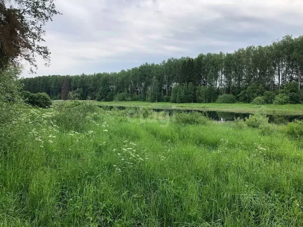 Участок в Московская область, Истра городской округ, Тихая Заводь кп . - Фото 0