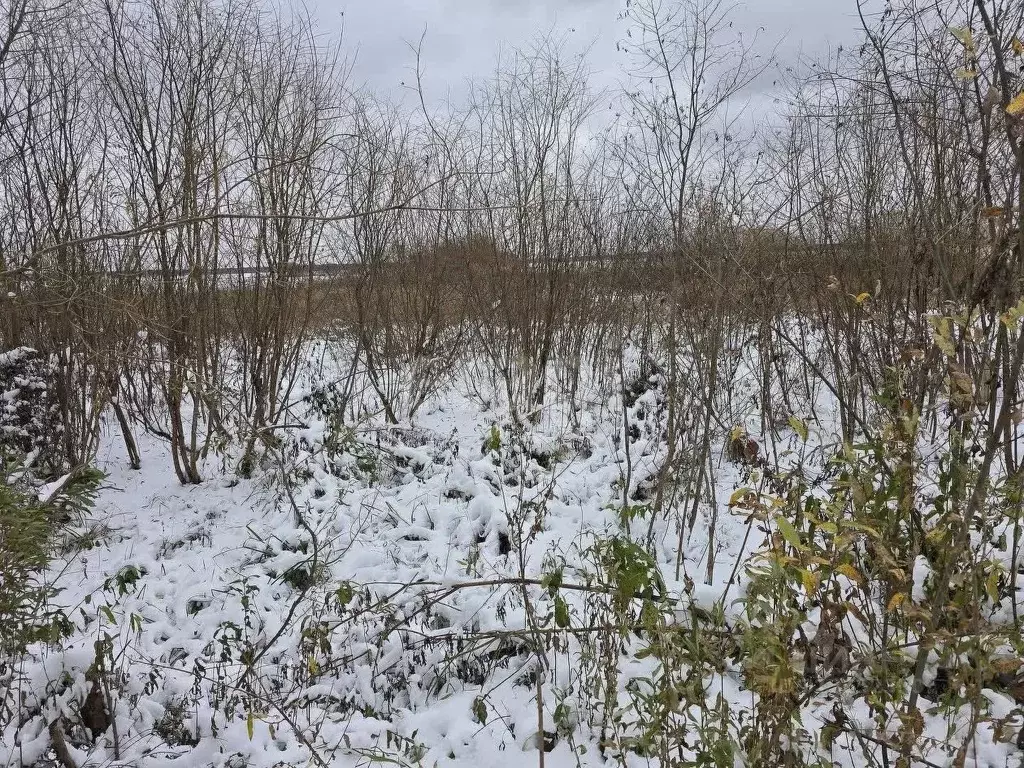 Участок в Тюменская область, Тюмень Малинка садовое товарищество,  ... - Фото 0