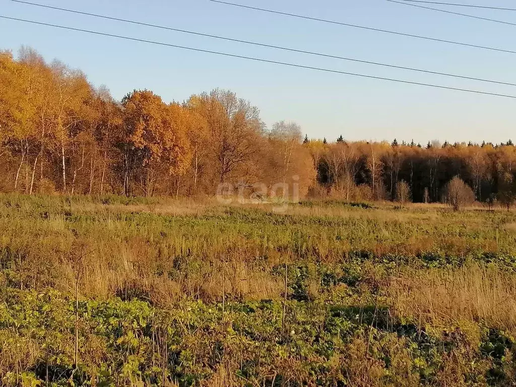 Участок в Смоленская область, Ельня  (29.0 сот.) - Фото 0