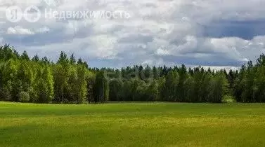 Участок в посёлок Бабынино, Сиреневая улица (12 м) - Фото 2
