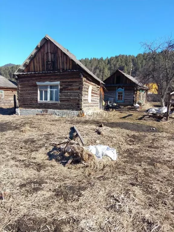 Участок в Алтай, Чемальский район, с. Чепош ул. Кучияк (34.0 сот.) - Фото 1