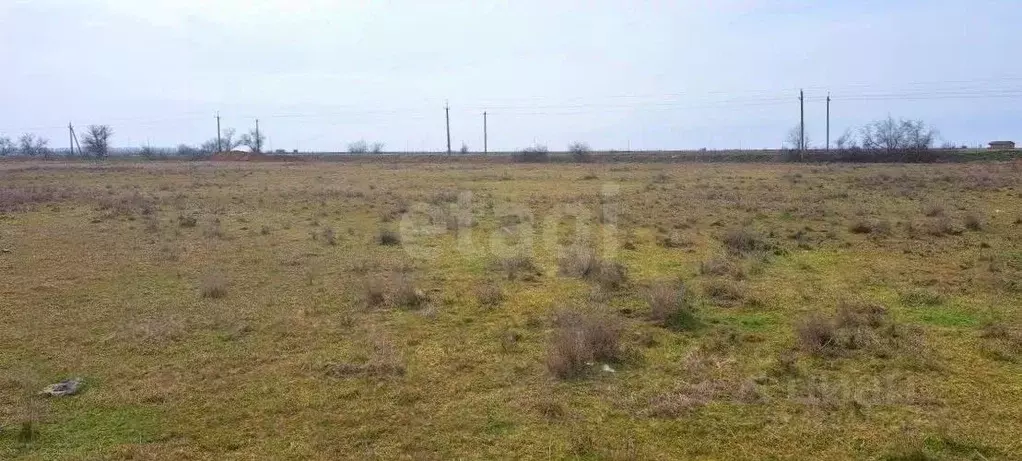 Участок в Крым, Ленинский район, Семисотское с/пос, с. Каменское ул. ... - Фото 1