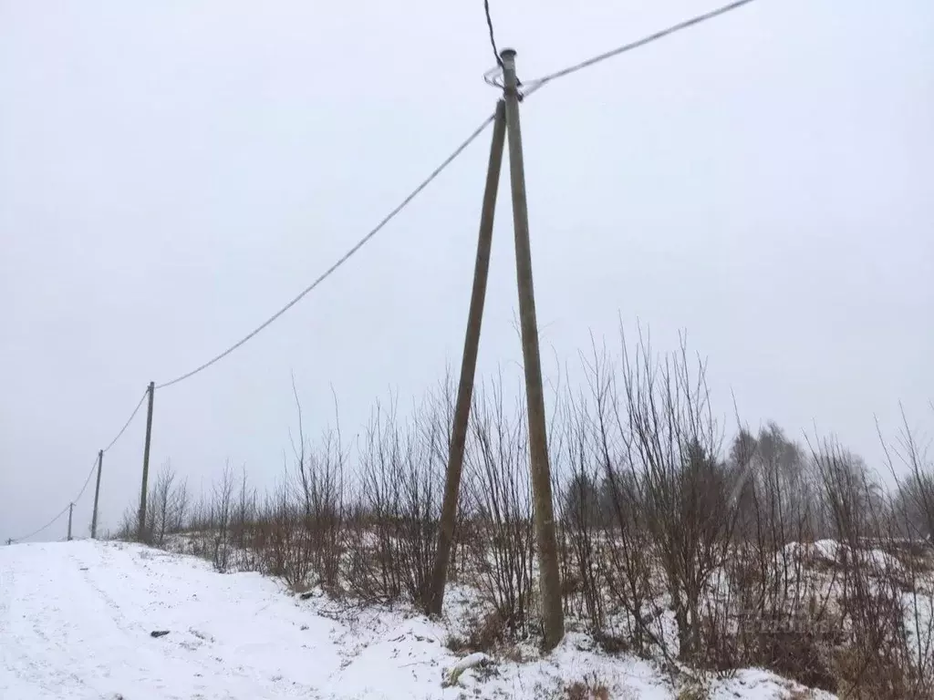 Участок в Ленинградская область, Всеволожский район, Лесколовское ... - Фото 1