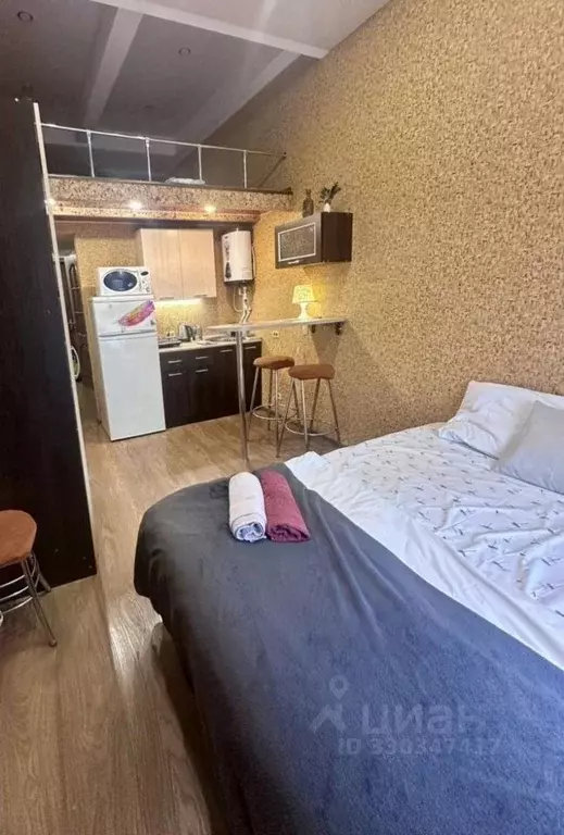 Студия Пензенская область, Пенза ул. Лермонтова, 3к2 (24.0 м) - Фото 2