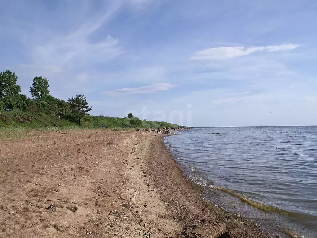 Участок в Псковская область, Гдовский район, Юшкинская волость, д. ... - Фото 0