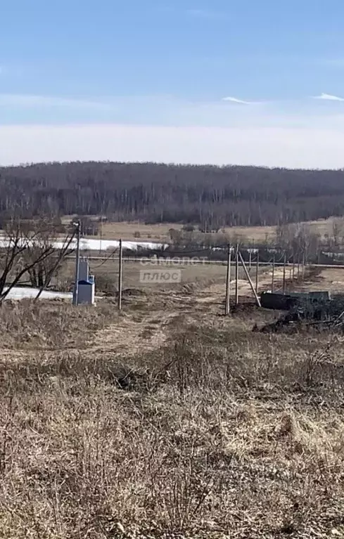 Участок в Нижегородская область, Богородский муниципальный округ, д. ... - Фото 0