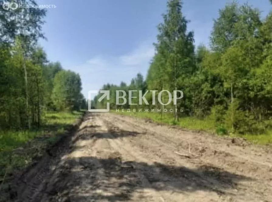 Участок в Ивановская область, Лежневское сельское поселение, деревня ... - Фото 1