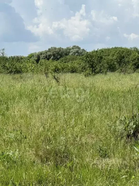 участок в тульская область, новомосковск (195.5 сот.) - Фото 1