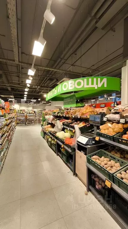 Помещение свободного назначения в Санкт-Петербург ул. Кустодиева, 3к1 ... - Фото 2