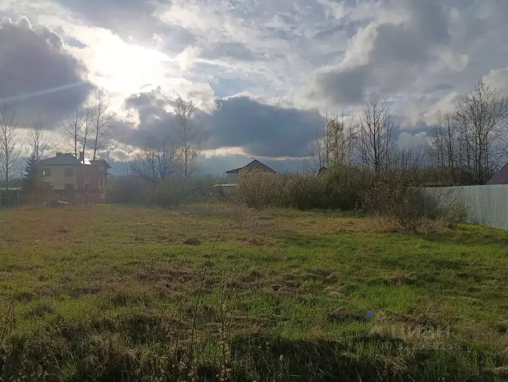Участок в Новгородская область, Новгородский район, Савинское с/пос, ... - Фото 1